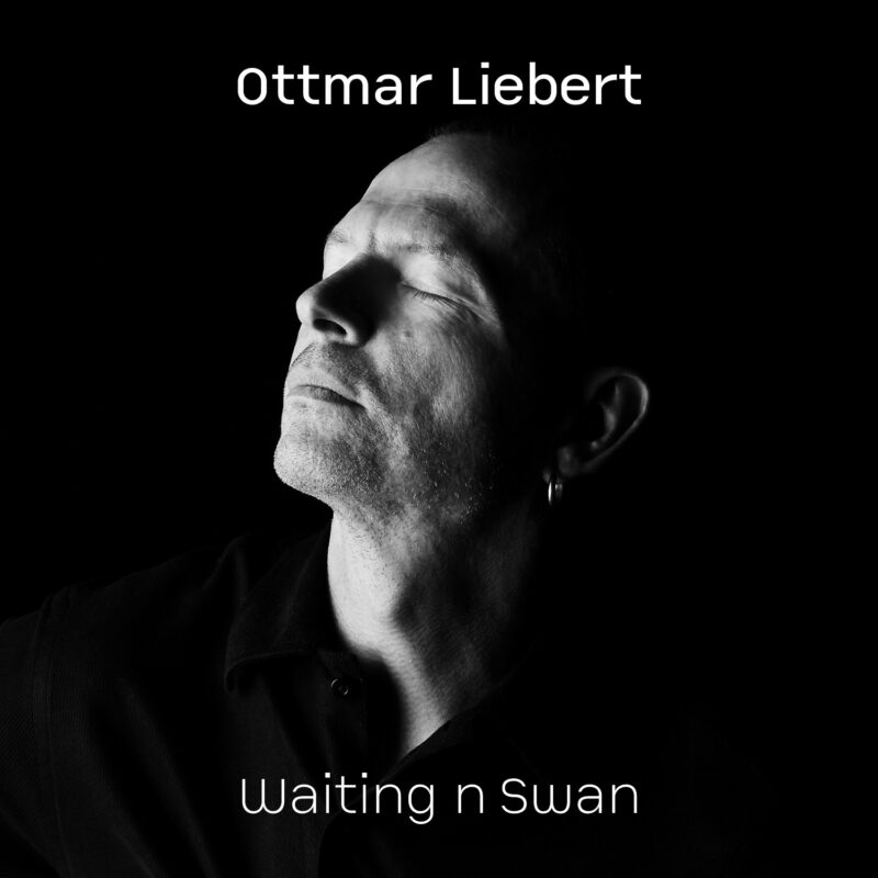 Waiting n Swan